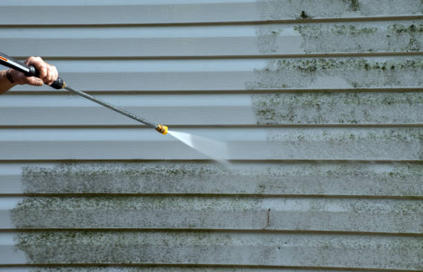 Best Roof Power Washing Services  in Boutte, LA